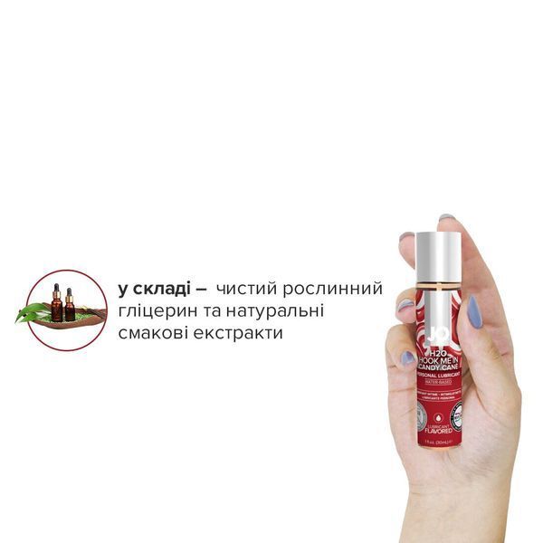 Різдвяний набір лубрикантів System JO Naughty or Nice Gift Set &ndash; Candy Cane & Gingerbread (2&times;30 мл) SO6163 фото