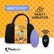 Вібратор в трусики FeelzToys Panty Vibrator Purple з пультом ДК, 6 режимів роботи, сумочка-чохол SO3850 фото 1